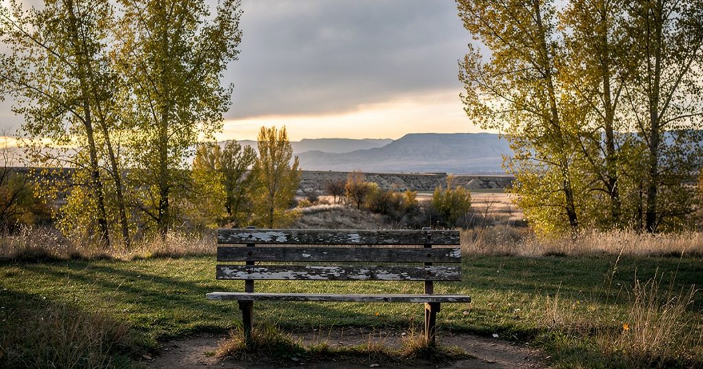An empty park bench under autumn cottonwood trees in late afternoon light, Utah foothills in the distance