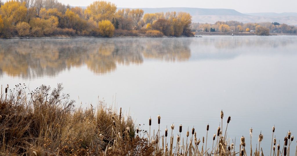 Utah Lake on a still autumn morning, cattails and cottonwoods along the bank reflected in flat water under an overcast sky
