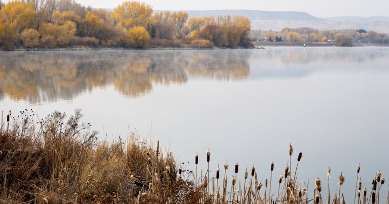 Utah Lake on a still autumn morning, cattails and cottonwoods along the bank reflected in flat water under an overcast sky