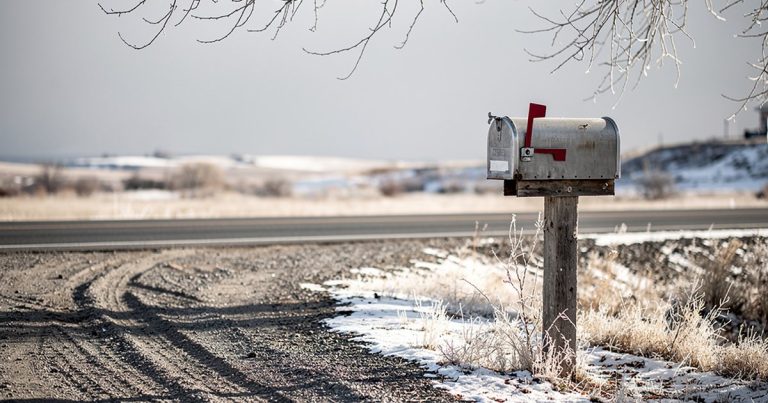 A rural mailbox with its red flag raised on a gravel shoulder, bare cottonwood branches overhead, winter morning light on frozen ground